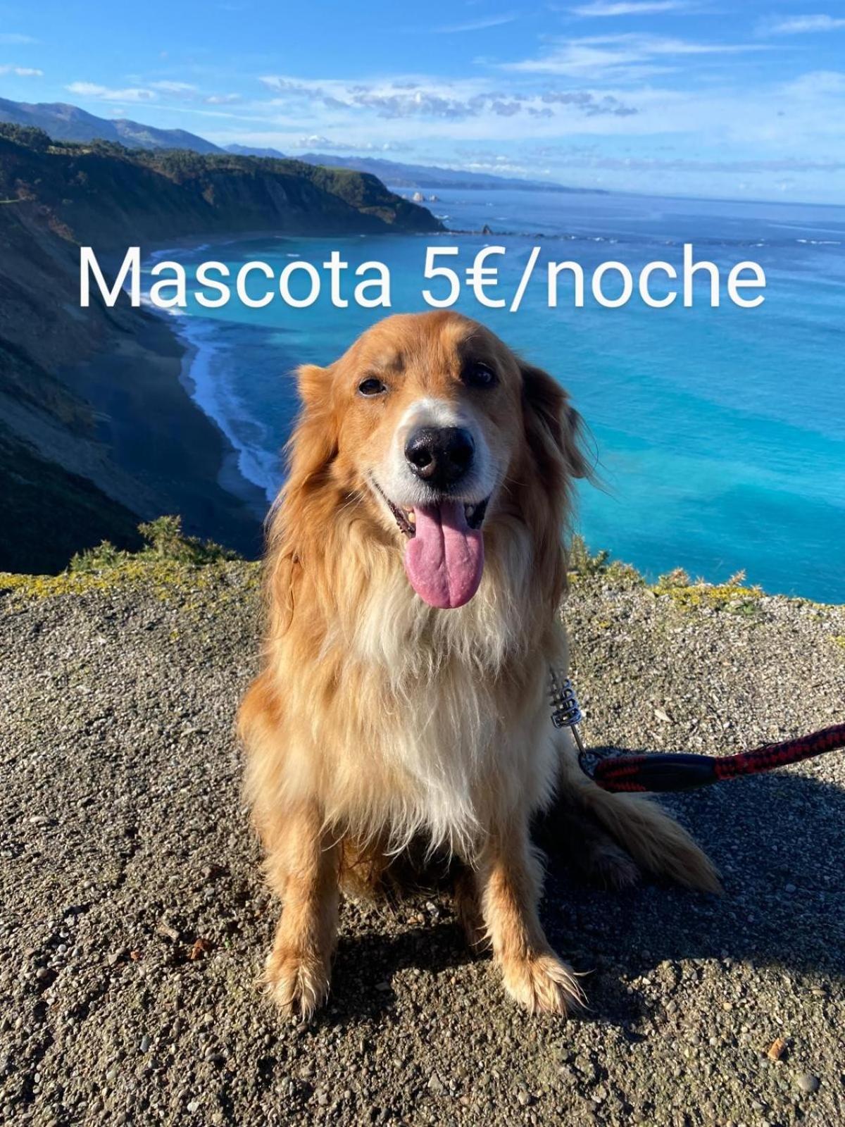 El Desvan Del Chisco Cudillero Zewnętrze zdjęcie